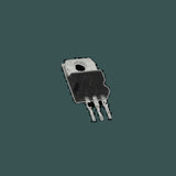 DL-10100310010_01.jpg