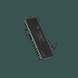 DL-10100310208_03.jpg