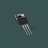 DL-10100310256_03.jpg