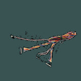 DL-16-0274_01.jpg