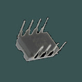 DL-210707_02.jpg