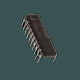DL-221-261B03_03.jpg