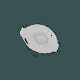 DL-41-02-0192_01.jpg