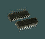 DL-74C175N_01.jpg