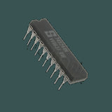 DL-74S244N_02.jpg