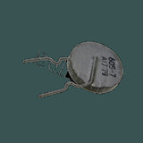 DL-A1779_01.jpg