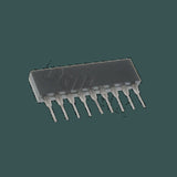 DL-AN5838_02.jpg