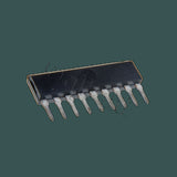 DL-BA6956AN_02.jpg
