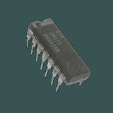 DL-DM171_03.jpg
