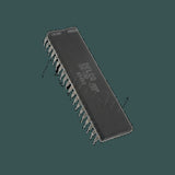 DL-DM198_03.jpg