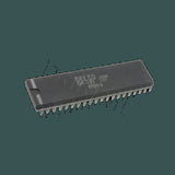DL-DM199_01.jpg