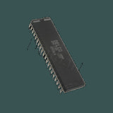 DL-DM199_02.jpg
