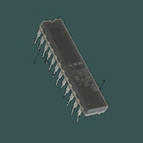 DL-DM235_03.jpg