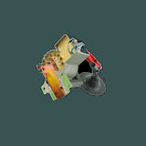 DL-F1117B_01.jpg