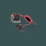 DL-FCK14A027_01.jpg