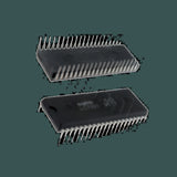 DL-LC70313571_01.jpg
