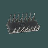 DL-M5952P_02.jpg