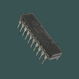 DL-MD74C245AE_03.jpg