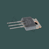 DL-MIP163_01.jpg