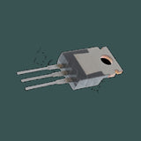 DL-MIP163_02.jpg