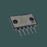 DL-STR2024_02.jpg