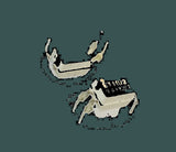 DL-TCET1102_01.jpg