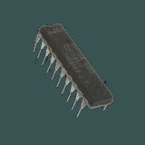 DL-TDA4850-3Y_03.jpg