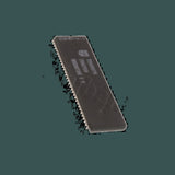 DL-TDA9875-1Y_03.jpg