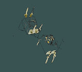 DL-TLP627_01.jpg