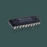 DL-WT8043N204437_01.jpg