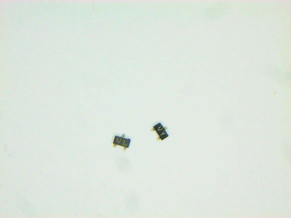 XCEI-00196450_1.jpg