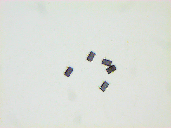 XCEI-22435625_1.jpg