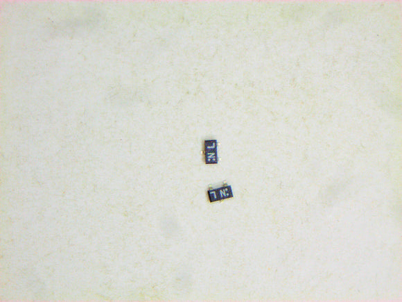 XCEI-37499067_1.jpg