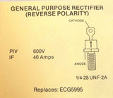 XSEM-11096817_2.jpg