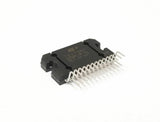 XSEM-25132466_1.jpg
