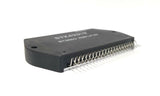 XSEM-25518878_2.jpg