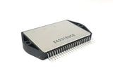 XSEM-25518878_3.jpg