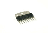 XSEM-26205884_2.jpg