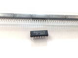 XSEM-33118691_3.jpg