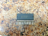 XSEM-33474274_1.jpg