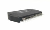 XSEM-36686960_2.jpg