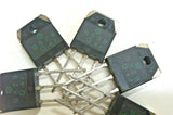 XSEM-37053312_1.jpg