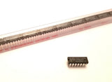 XSEM-39399421_1.jpg