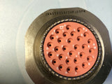 XSEM-39399461_1.jpg