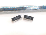 XSEM-39399504_2.jpg