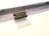 XSEM-40938709_2.jpg