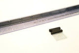 XSEM-40938709_3.jpg
