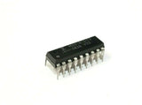 XSEM-46476147_2.jpg