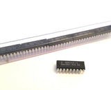 XSEM-57921006_3.jpg