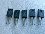 XSEM-67316709_2.jpg